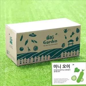 가정용 저면관수 화분 베란다 미니 오이 화분 텃밭 세트