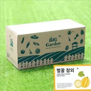 초보자 베란다 텃밭 세트 텃밭용 저면관수 화분 도시농부 급수 정원