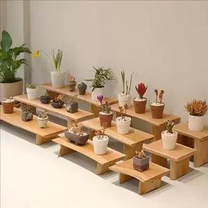 우드 원목 화분 진열대 미니 원목 다육 이선반 받침대 정리대