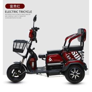 3륜 삼발 바이크 전기차 농촌 초소형전기차 입문 전동스쿠터 노약자 충전기없음