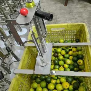 감귤까는기계 오렌지 껍질 필러 레몬 자몽 한라봉 박피기 탈피기 수동 농장 오렌지주스