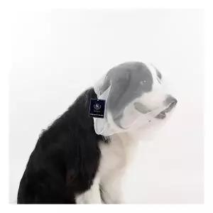 딩동펫 반려동물 메쉬 페이스 버그가드 얼굴망사 752740