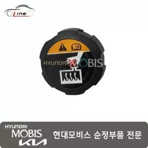 [현대모비스]캡 라디에이터 25330 J2100