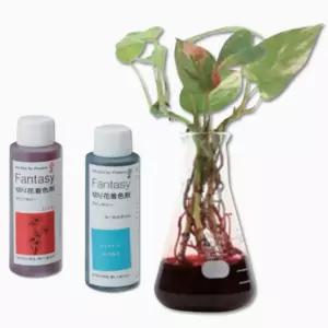 백합 관다발 관찰키트 식물구조 줄기 초등과학 누리과정 선물