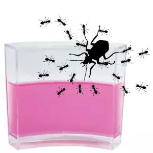 개미집 곤충 먹이 관찰 생태 투명젤리 벌레 초등학교 어린이