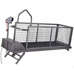 강아지 런닝머신 트레드밀 다이어트 애견 저소음 강아지러닝머신 소형 강아지런닝머신 러닝머신