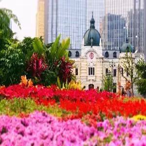 [밤출발][4명부터 출발]대련 3일#시내중심4성급호텔 #핫플레이스동방수성 #트램탑승 #연화산전망대 #야시장 #특식1회