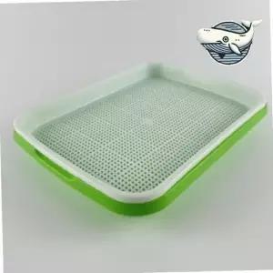 실내 가정용 새싹재배기 보리싹 씨앗 트레이