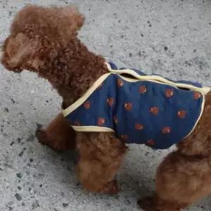 [반려] 강아지 배색 여우 조끼 네이비 3XL 1P 산책 실내 보온