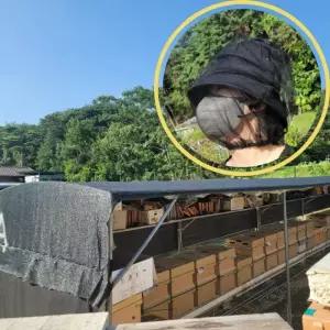 얼굴 방충망 모기장 벌침 방지 양봉용 모자 얼굴모기장 낚시모자 벌모자