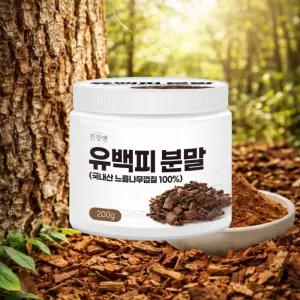 국산 유백피분말 느릅나무껍질 가루 유근피 분말 왕느릅나무껍질가루 200g