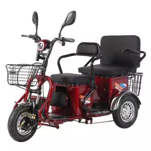 전기세발자전거 2인 세발 전동바이크 전기자전거