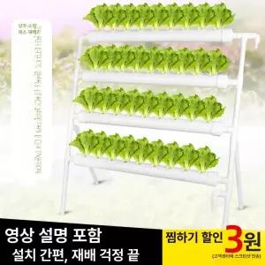 수직농장 가정용 수경재배기 만들기 물심기 재배기