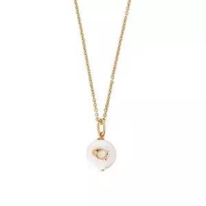 [NS홈쇼핑]코치 시그니처 코인 펄 여성 목걸이 440611 GLD 107[35673308]