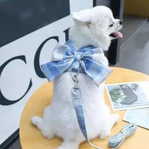 [셀러허브 생활리빙]강아지체크하네스 고양이 애견 산책 리본하네스_XS (9596097A)