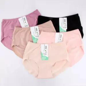 데일리팬티 빤스 누디팬티 노라인팬티 햄팬티 햄라인