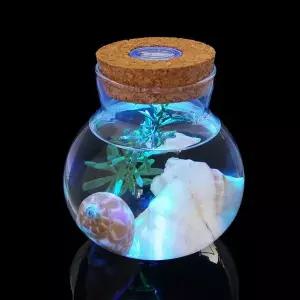 [하프클럽/셀러허브(펫)]마리모 키우기 LED 유리병 수경 반려식물 유리공병 DT1306010