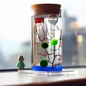 [하프클럽/셀러허브(펫)]마리모 키우기 LED 유리병 수경식물키우기 DT1304630