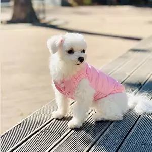 [셀러허브 생활리빙]강아지일체형조끼 레터링 털안감 패딩 베스트 겨울옷 (11684859A)