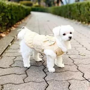 [셀러허브 생활리빙]강아지일체형원피스 고양이 프릴 밍크털 겨울 베스트 (11727898A)