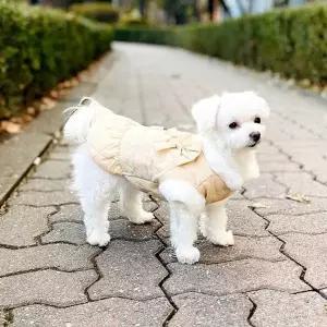 강아지일체형원피스 고양이 프릴 밍크털 겨울 베스트 (11727898A)