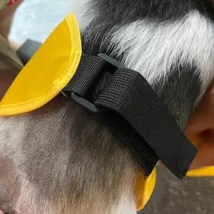 [하프클럽/셀러허브(펫)]중형견 강아지 비옷 우비 중형 강아지비옷 강아지우산