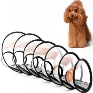 안티바이트5호 아픈곳 보호 넥카라 목 반려동물 물기 깔대기 방지