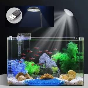 테라리움 만들기 조명 거북이 금붕어 열대어 구피 파충류 키우기 미니 어항 수족