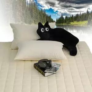 라텍스커버 매트리스 침대패드 침구 통기성 샤이니 40수 순면 누빔 매트리스커버 슈퍼싱글 SS 베이지