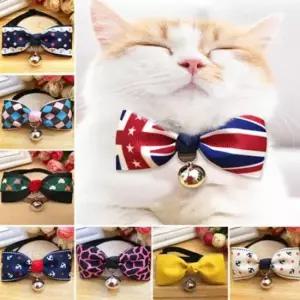 [반려] 목줄 세트 강아지 리본 디자인 고양이 5종 방울 랜덤 강아지방울 강아지산책