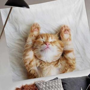 [2개구성] 치즈 고양이 특대200X150 인테리어포스터 패브릭가림막 가림막포스터 패브릭포스터 EW7DD466