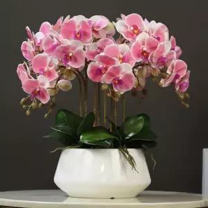 호접란 조화화분 서양란 화분 생화같은 5종 가드닝 탁상용