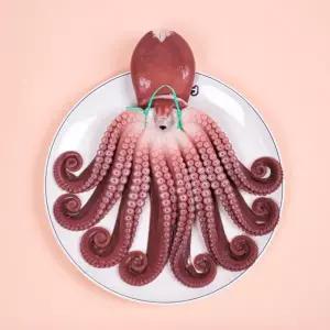 지삼 자연산 자숙 돌문어1미(실중량2kg내외)