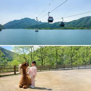 [강원] 삼악산케이블카X알파카월드 PKG(4/1~)/강원가볼만한곳/데이트/여행/체험/동물원/춘천/홍천/테마파크