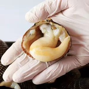 자연산 손질 새조개 해감 세척 소포장 아이큐샵