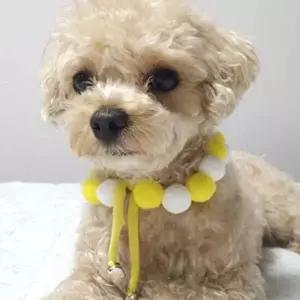 폼폼이뜨개케이프 애견폼폼이스카프-WD44167