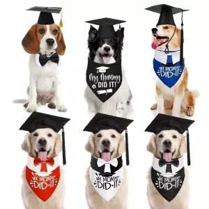 퍼피스쿨 강아지 졸업가운 모자세트스카프 모자