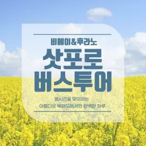 [북해도] 비에이, 후라노 프리미엄 1일 버스투어 (점심뷔페포함)