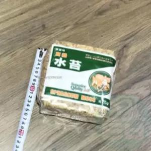 위랜드 난 재배용 천연수태 (75G) 가드닝소품 풍란수태 풍란키우기 이끼식물 가드닝장식