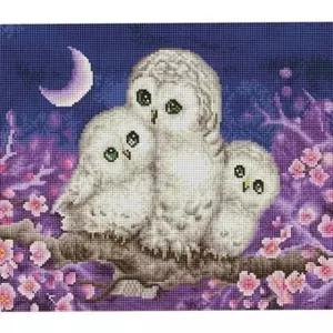 비즈 명화 보석 도안 십자수 부엉이 원형 캔버스
