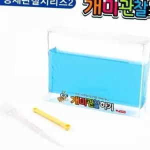 어린이 관찰 교구 학습용 과학 과학실험 실험용 생물