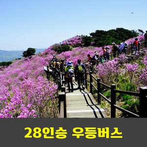 비슬산 참꽃 진달래축제  안내산악회