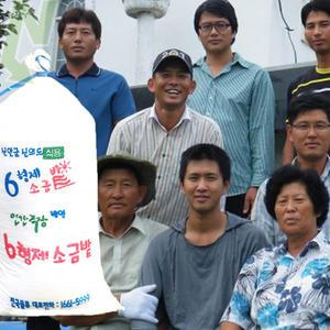 6형제소금 1년묵은 간수뺀 천일염 20kg 굵은소금