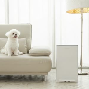 [20주년기념/공식대리점] 매직캔 휴지통 히포 크롬 오토실링 베스트 모음전 리필봉투 쓰레기통 비닐봉투