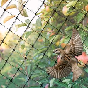 강력 방조망 10년 4cm 폭 18m 길이 45m 새망 블루베리망 새그물 참새 까치 조류 방지 농작물보호