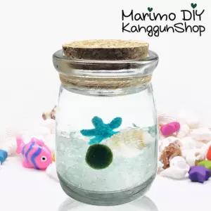 상세정보참조 마리모 포함 키우기 별푸딩 세트/미니 푸딩병 어항