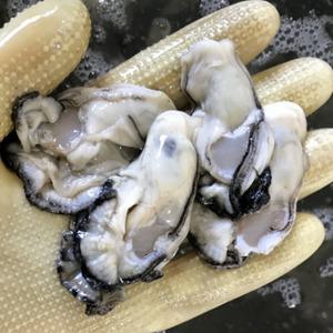 싱싱햇 남해안 제철 생굴 세척굴 깐굴 1kg