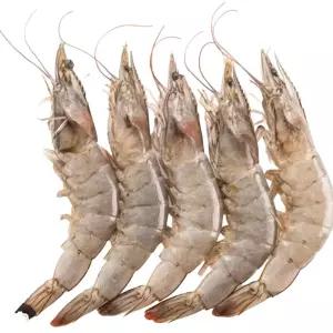 어부백서 냉동 흰다리새우 화이트새우 20미 30미 40미 50미 500g