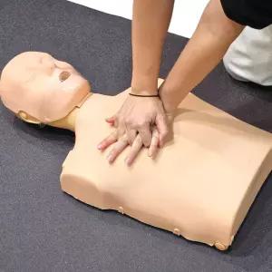 티처스 심폐소생술 CPR 교육용 마네킹 더미 7대안전 의료교육용 키트 기본형 LED형