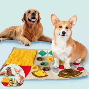 반려견장난감 피크닉 노즈워크 패드 간식숨기기 강아지 장난감 매트